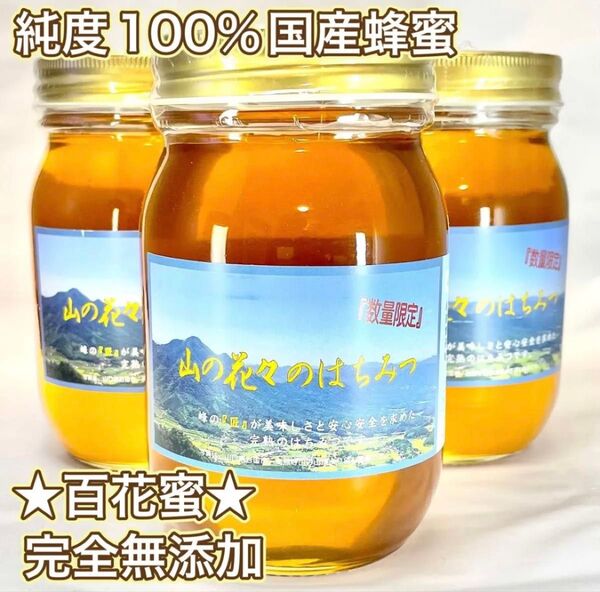 純粋生はちみつ 国産非加熱 600g ×3個 即購入OK