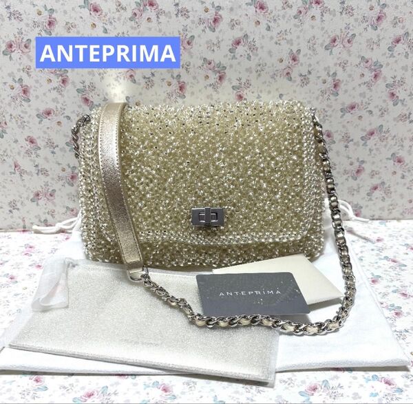 ☆アンテプリマ☆999 コレクション ルッケット 横長 ミディアム