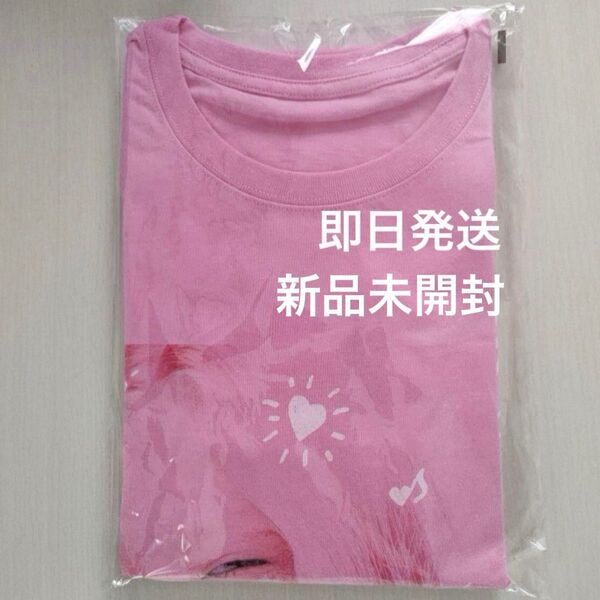 ちゃんみな 限定Tシャツ AREA OF DIAMOND 3 ライブ グッズ フリーサイズ ピンク