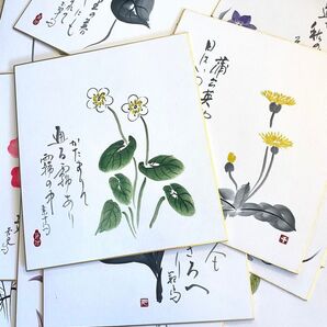 俳画色紙 お花 12枚セット 藤 ドクダミ ケイトウ