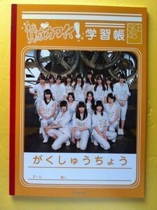 SKE48 賛成カワイイ 学習帳 黄色 松井珠理奈 松井玲奈