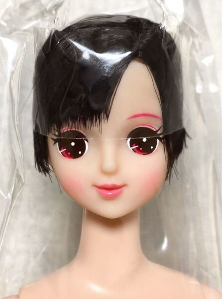 リカちゃんキャッスル マリー おたのしみドール esc ジェニーフレンド 27cm