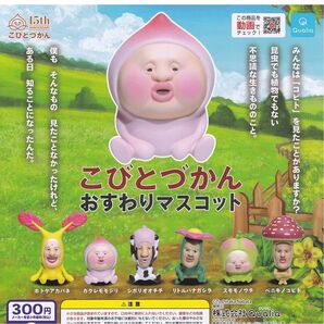 こびとづかん おすわりマスコット コンプリート