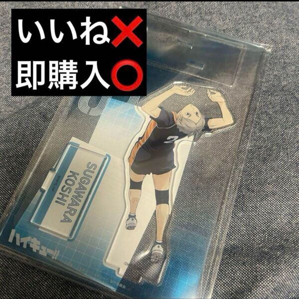 ハイキュー!! ウィンターフェア 菅原孝支 アクリルスタンド