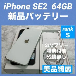 18 iPhone SE2 64GB 新品バッテリー SIMフリー 美品綺麗