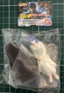  unopened Bandai HG Ken, the Great Bear Fist ~ century end saviour appearance compilation ~.. south ..... star lily a