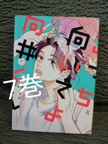 7 巻★こっち向いてよ向井くん ねむようこ★同梱どんどん値引き 1 2 3 4 5 6 7 8 全巻 5巻のみも出品中
