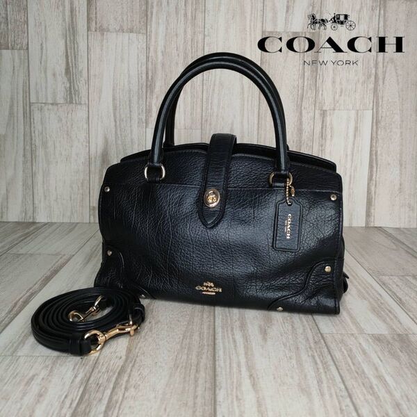COACH コーチ レザー 2WAY ハンドバッグ ショルダーバッグ 50