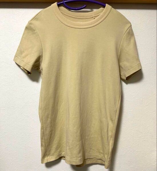 新品 ユニクロ Tシャツ レディース クリーム 半袖 M