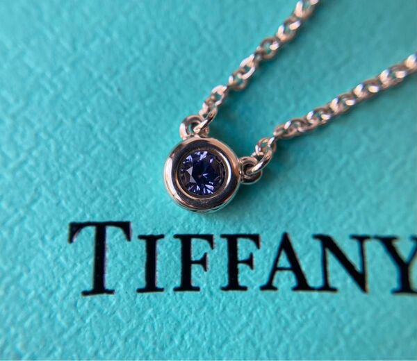 Tiffany&co. ティファニー アメジスト 約0.06ct カラー・バイザヤード シルバーネックレス Ag925