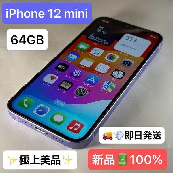 【極上美品】【即日発送】iPhone 12 mini 64GB 新品バッテリー100%