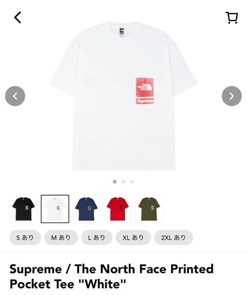 Supreme The North Face Printed Pocket Tee シュプリーム ノースフェイス M