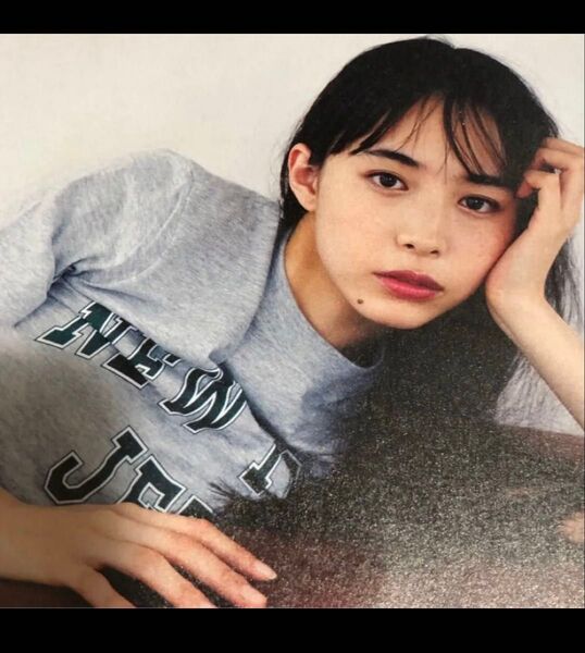 井桁弘恵 DVD 週刊プレイボーイ付録 DVD 新品未開封 29分収録 【アイドルイメージDVD グラビアアイドル 付録DVD】