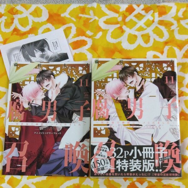 腐男子召喚 異世界で神獣にハメられました 11《特装版》