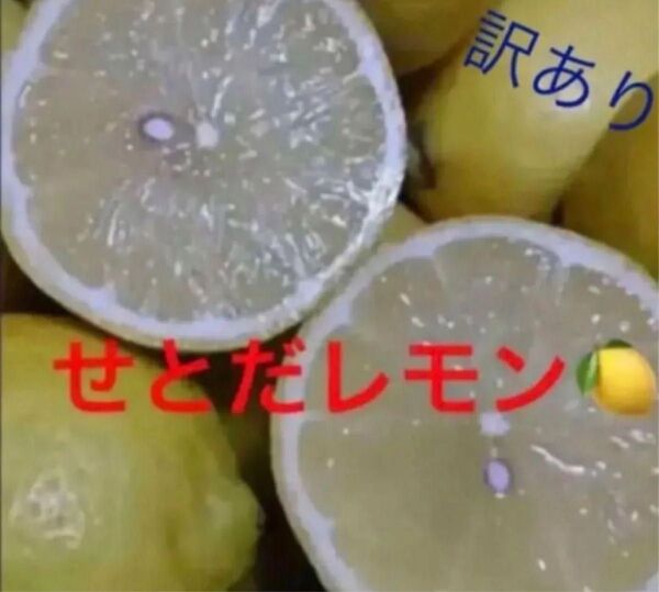 瀬戸田レモン