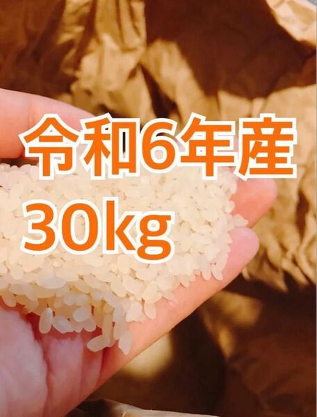 令和6年度産★福岡県産 お米★玄米30kg★精米も可★ゆめつくし