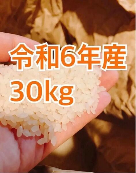 令和6年度産★福岡県産 お米★玄米30kg★精米も可★ゆめつくし