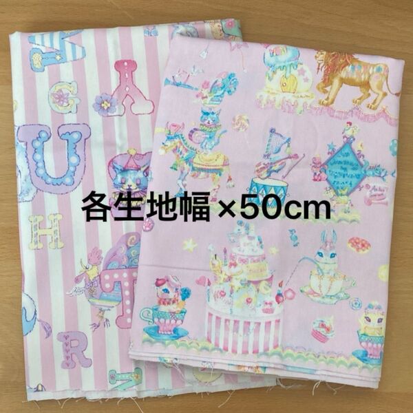 エコネコ ECONECO オックス生地 各生地幅×50cm 2枚セット ゆめかわ