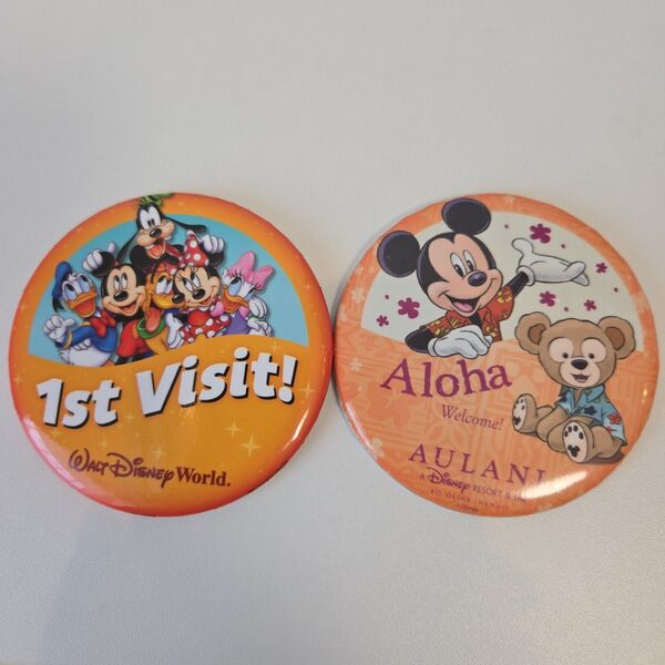 アウラニディズニー WDW 缶バッジ 2個セット
