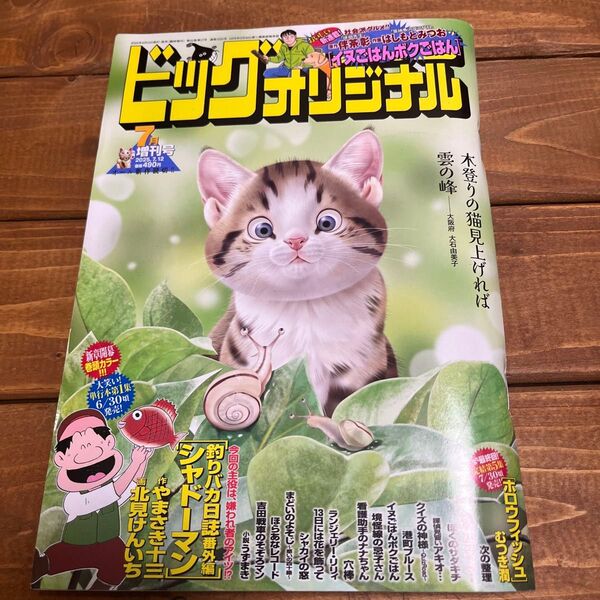ビッグコミックオリジナル増刊7月号です。破れ・切り取りはありません。
