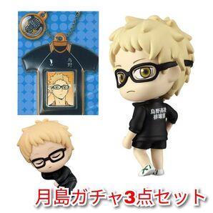 ハイキュー!! 月島 蛍ガチャ3点セット ねむらせ隊・ミニフォトケース・こっちむいてfig
