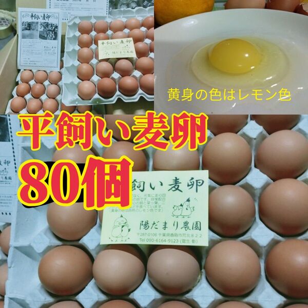 平飼い麦卵 ML 80個 (紙トレー入り)