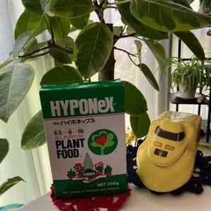 ハイポネックス 微粉ハイポネックス 500g
