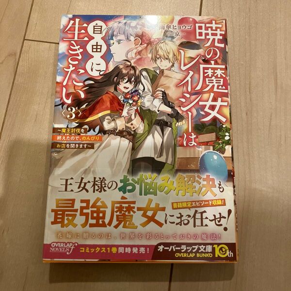 暁の魔女レイシーは自由に生きたい 3 小説