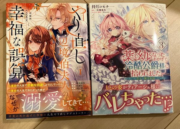 やり直し辺境伯夫人の幸福な誤算1 薬で幼くなったおかげで冷酷公爵様に拾われました 3
