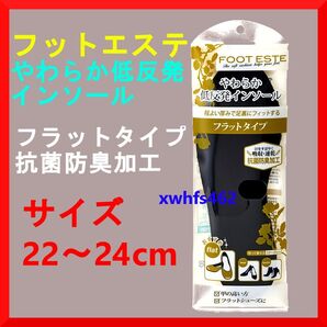 訳あり未使用 フットエステ やわらか低反発 インソール フラットタイプ サイズ22~24cm 抗菌防臭加工 靴 中敷 フットケア
