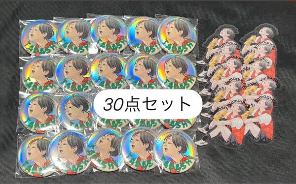 ハイキュー ジャンプGIGA コレクション 缶バッジ クリアカード 山口 忠
