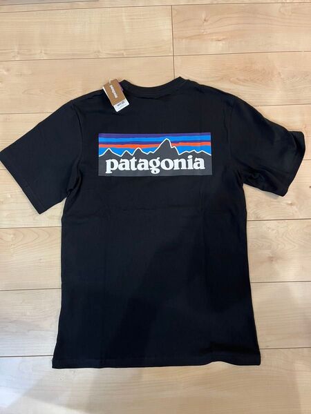 Patagonia パタゴニア M's P-6 Logo T-Shirt P-6ロゴ 半袖 Tシャツ M 黒