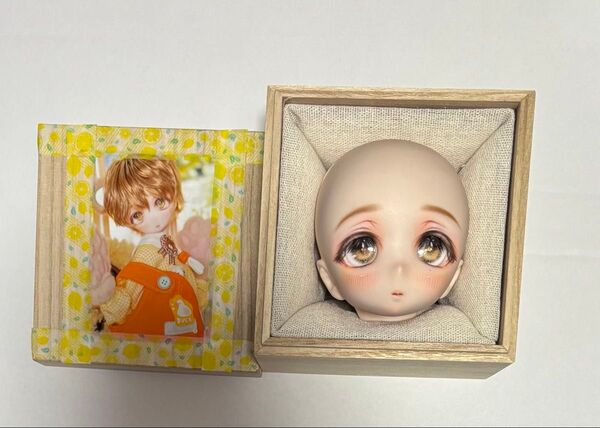 ディーラー様製 DDH カスタムヘッド アイ ウィッグ mdd