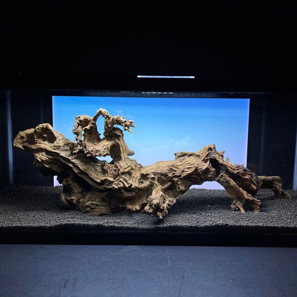MRW-6328特大流木 1点物 90cm水槽用 アクアリウム 爬虫類
