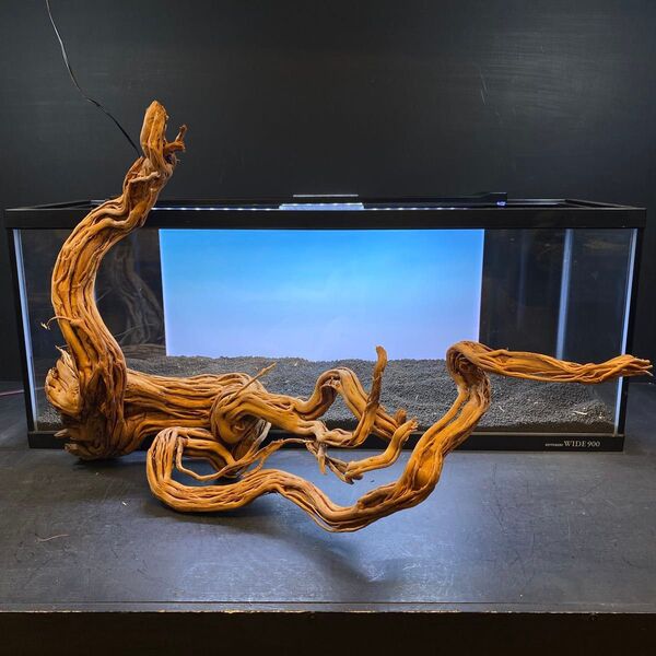 MTW-6354蔦流木1点物 アーチ流木 90cm水槽用流木 アクアリウム