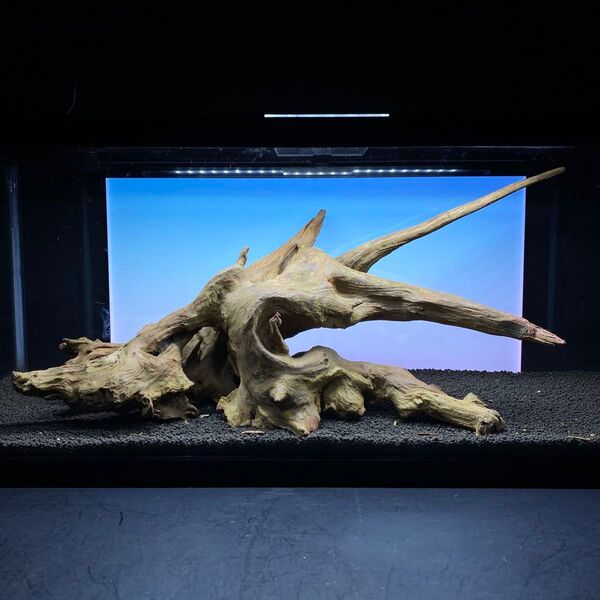 MRW-6371特大流木 1点物自立 90cm水槽用 アクアリウム 爬虫類
