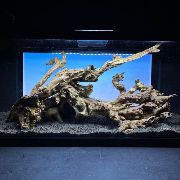 MSW-6439/90cm水槽用天然流木 2本セット 枝流木 アクアリウム
