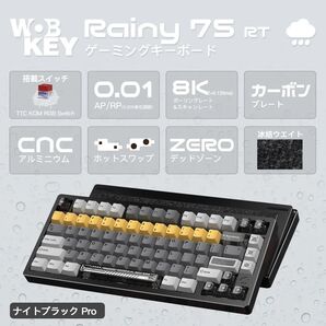 【新品未開封】Rainy75 RT Pro ブラック
