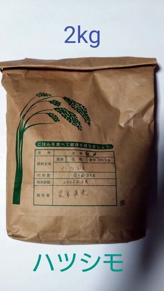 岐阜県産 精米 ハツシモ 2kg