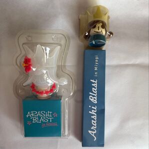 嵐 ARASHI BLAST ペンライト 2個セット