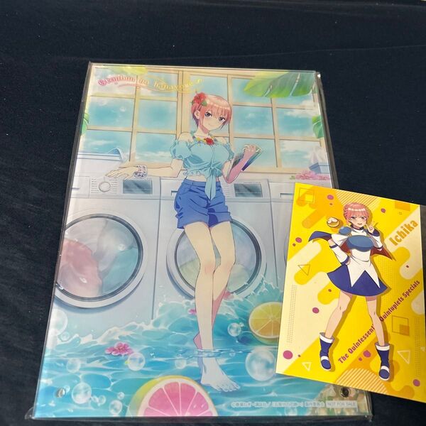 五等分の花嫁 中野一花 《非売品》アクリルボードうたたねSUMMER DREAM