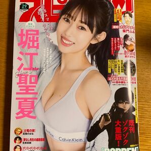 ビッグコミックスピリッツ No.29 6.30号 表紙 堀江聖夏 最新号 切り抜き一切なし