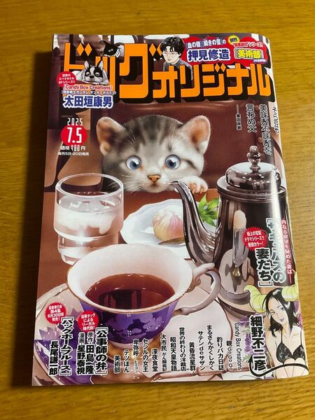 ビッグコミックオリジナル 7月5日 最新号 2025年 13号 切り抜き一切なし