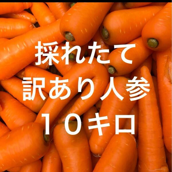 訳あり人参