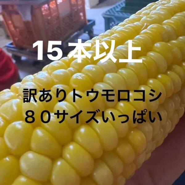 訳ありトウモロコシ