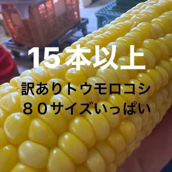 訳ありトウモロコシ