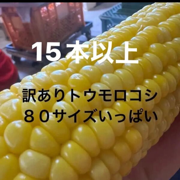 訳ありトウモロコシ