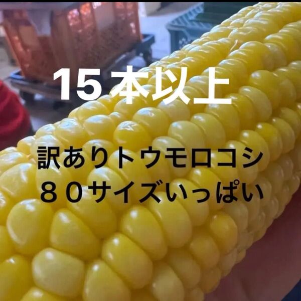 訳ありトウモロコシ