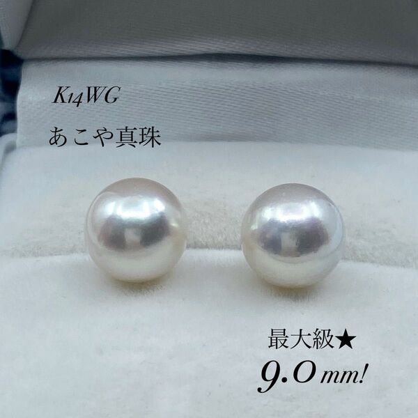 ★新品・未使用★希少な大珠☆テリの美しい!K14WGあこや真珠9.0mmピアス!