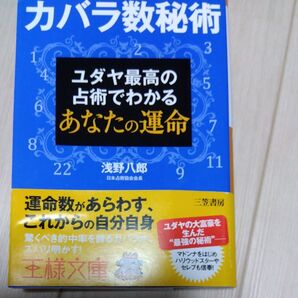 カバラ数秘術 ユダヤ最高の占術でわかるあなたの運命 (王様文庫 C52-1) 浅野八郎/著